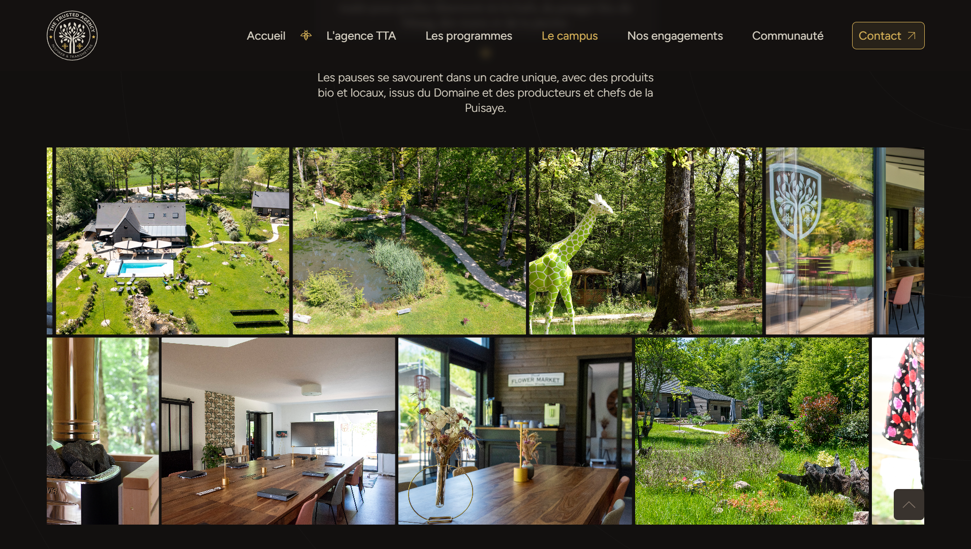 Réalisation Emerell Boréale